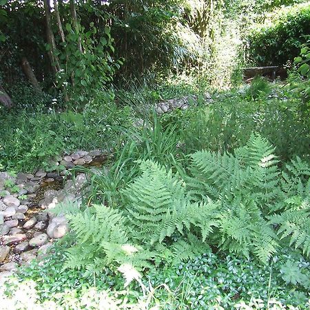 Schoonoord B&B 'T Nije Huus מראה חיצוני תמונה